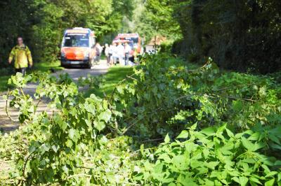 Nuertingen-Neckarhausen: Radfahrer von herabstuerzendem Ast getroffen